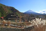 從西湖里根場看富士山