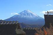 從西湖里根場看富士山