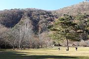 西湖野鳥森林公園