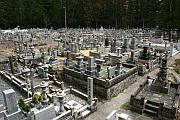 神道旁的日式墓園