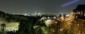 賞夜櫻之餘，還可遠眺京都市夜色。