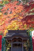 高尾山別院不動院